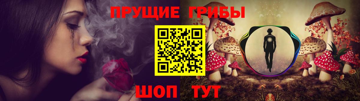 сколько стоит  Псилоцибиновые грибы мицелий  Вход с VPN  Чайковский  Псилоцибиновые грибы мухоморы 